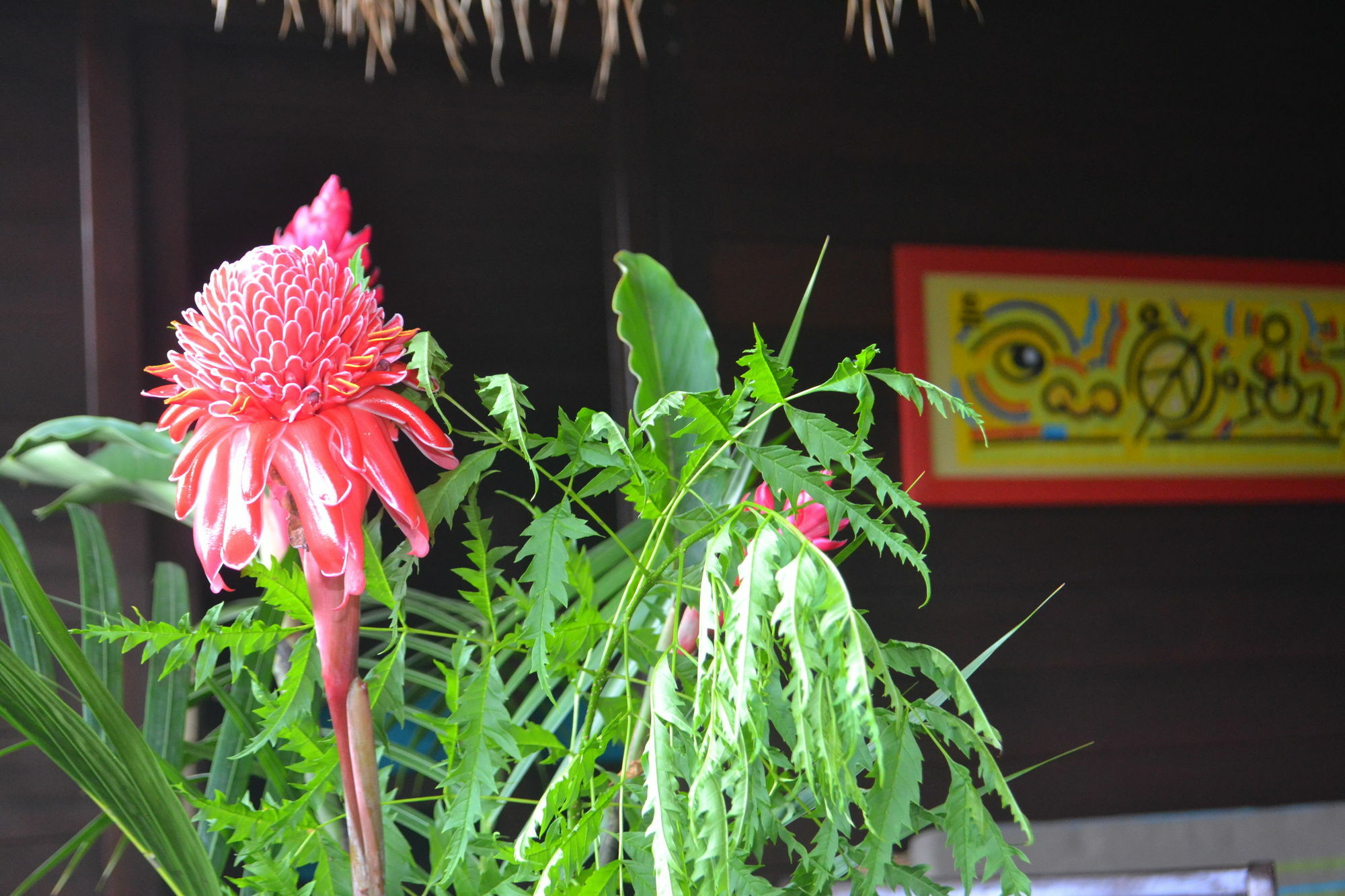 Piton Bungalows Ecolodges Deshaies Bagian luar foto