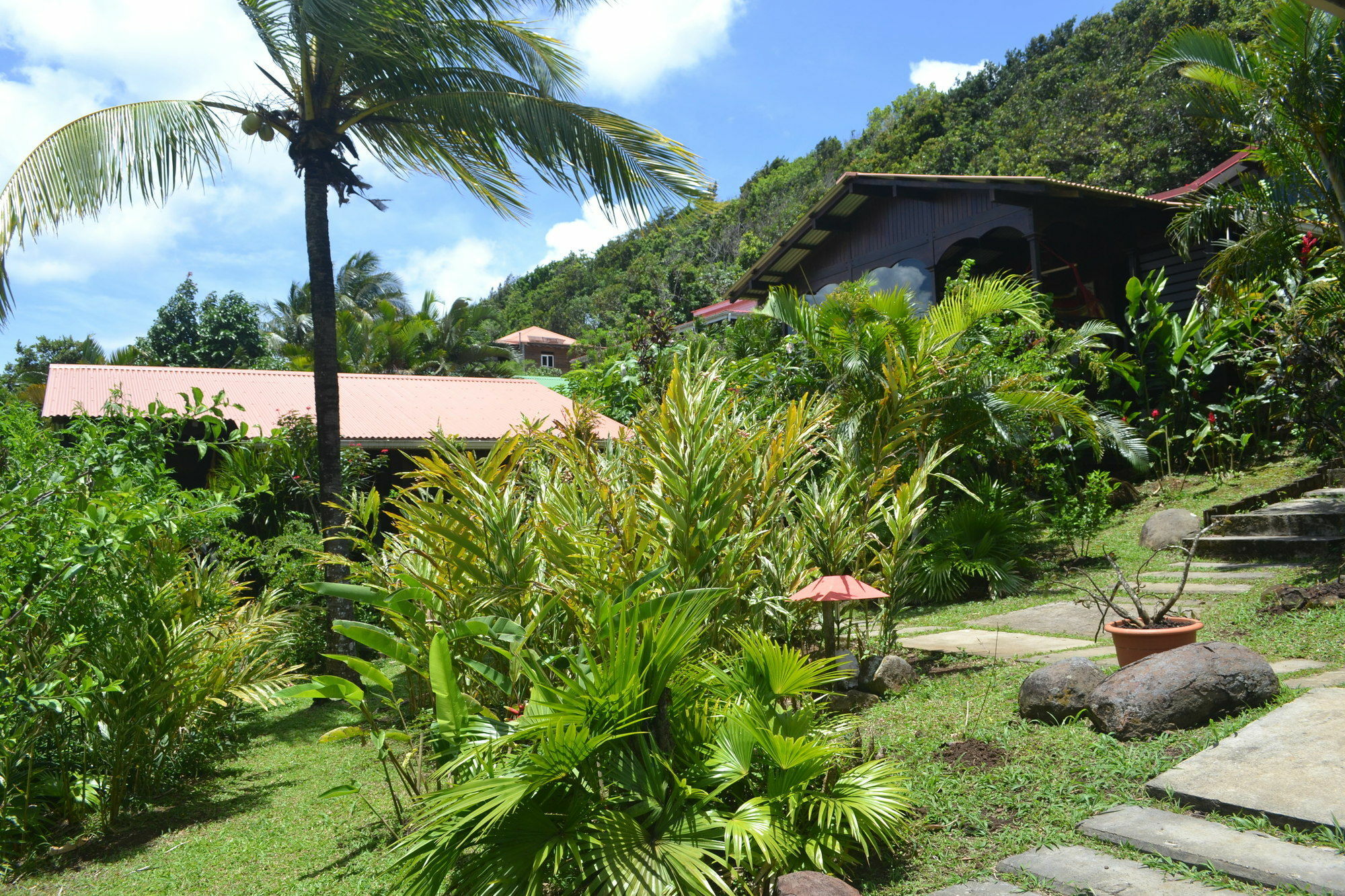 Piton Bungalows Ecolodges Deshaies Bagian luar foto